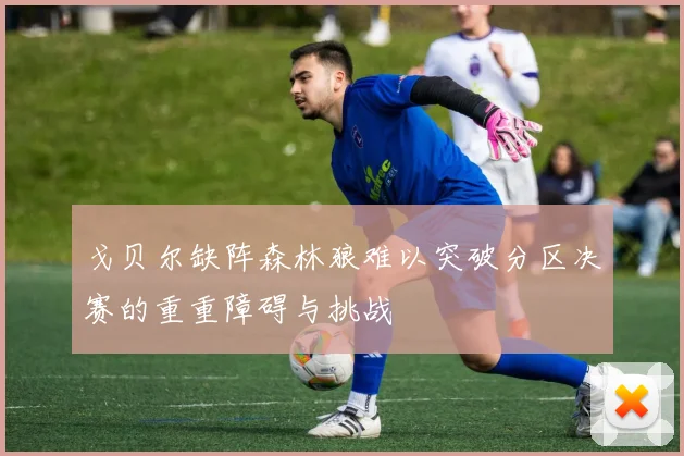 戈贝尔缺阵森林狼难以突破分区决赛的重重障碍与挑战