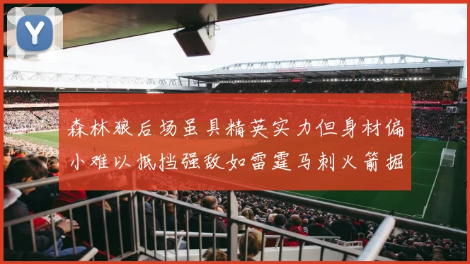 森林狼后场虽具精英实力但身材偏小难以抵挡强敌如雷霆马刺火箭掘金